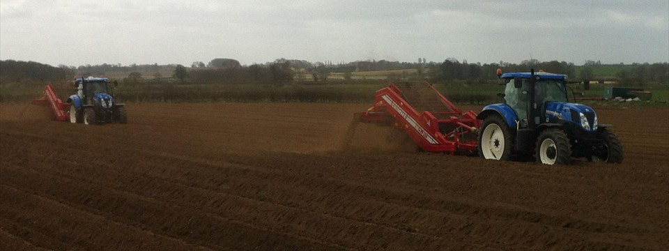 Preparing Potato Land